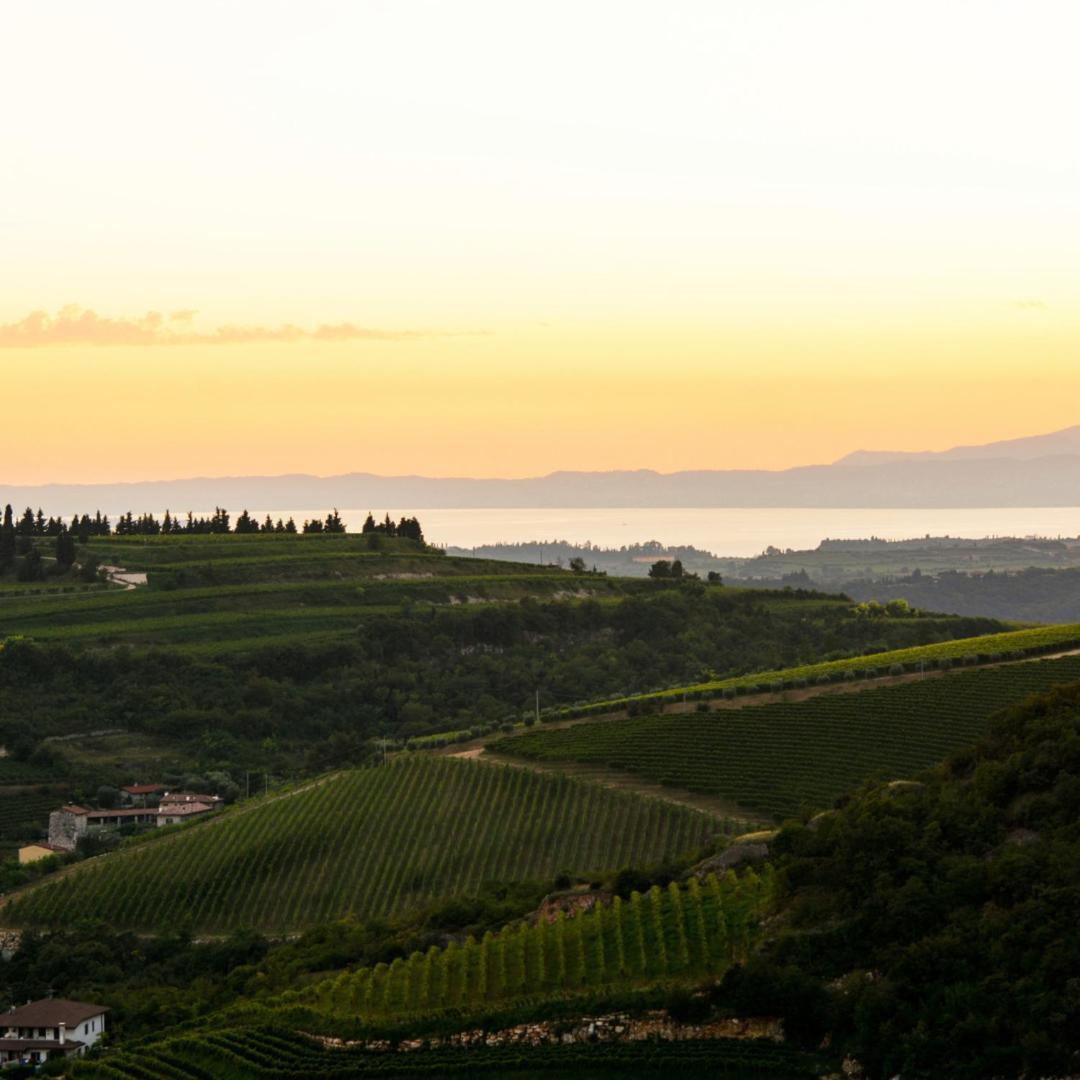Agriturismo Ca' Verde Sant'Ambrogio di Valpolicella Exterior photo